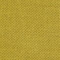 HT0062 var.44